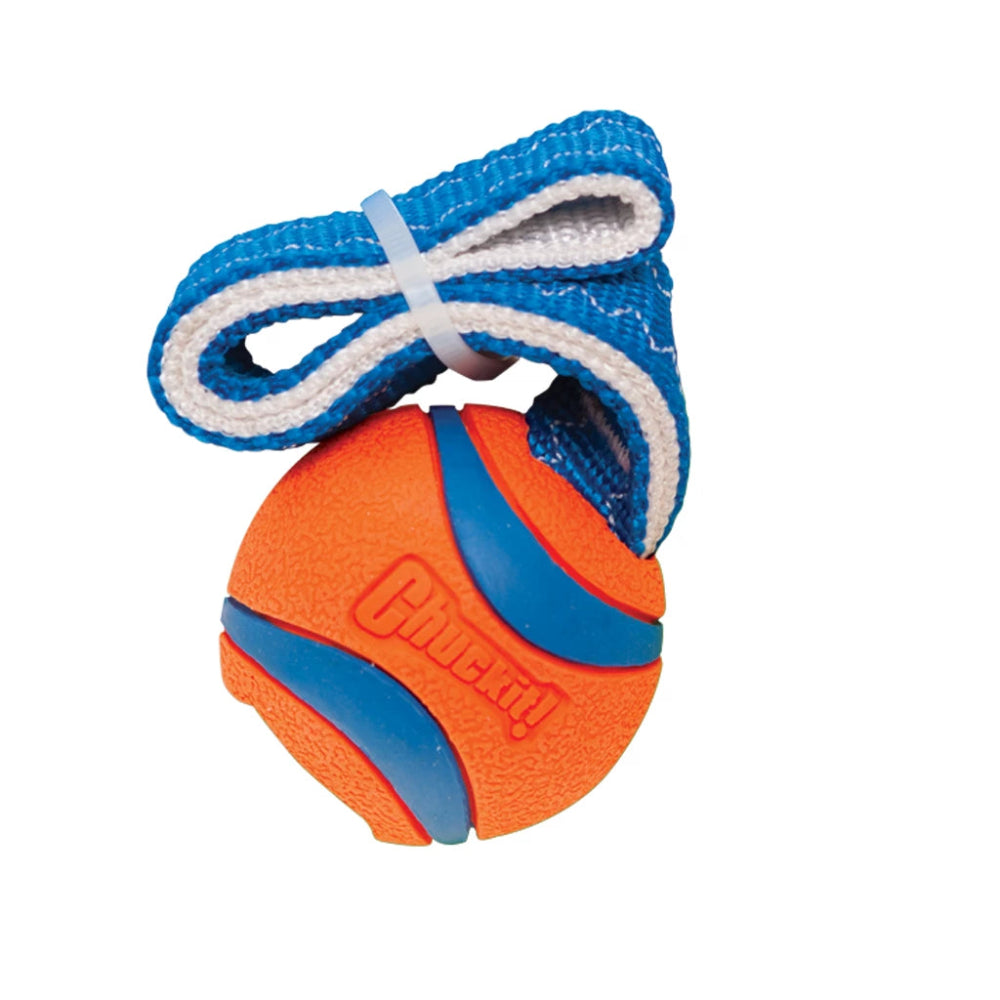 Chuckit Ball mit Wurfband für Hunde