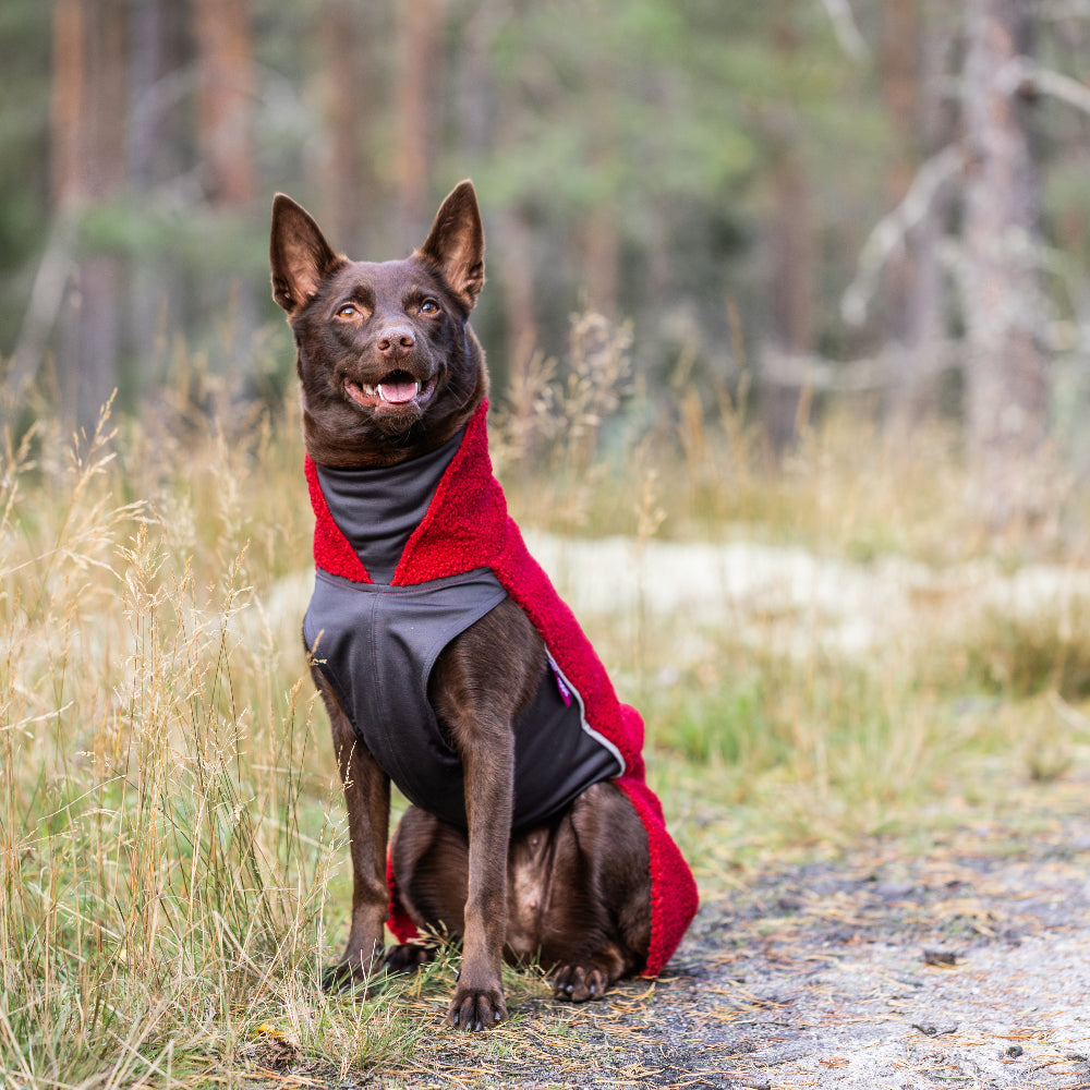 PolarPomppa für Hunde