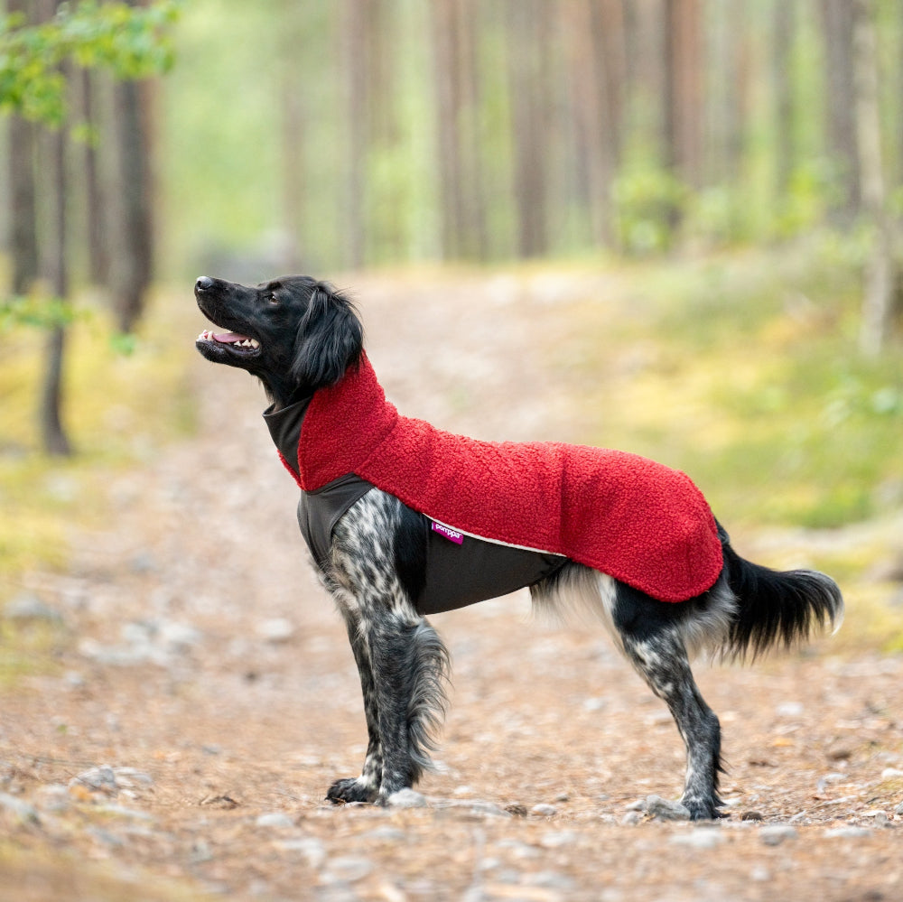 PolarPomppa für Hunde