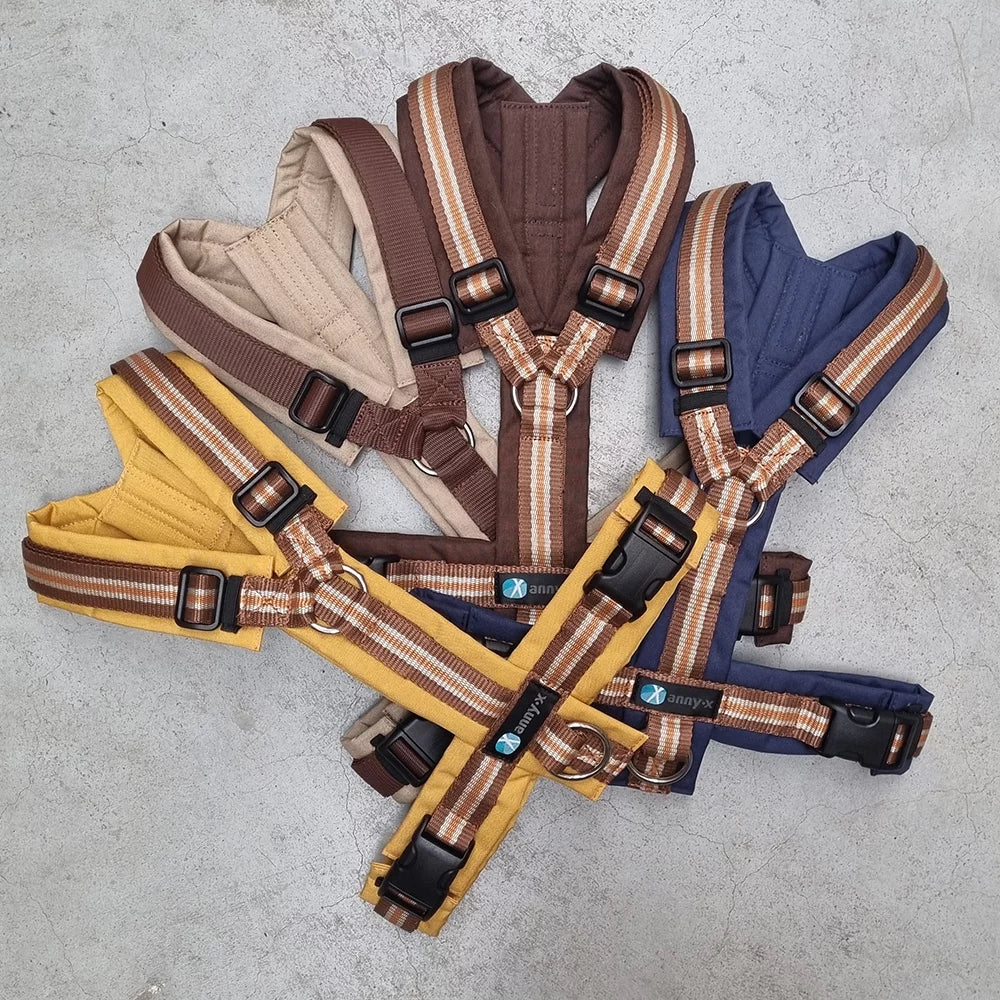 Anny-X Fun Limited Edition Herbstkollektion Geschirre fuer Hunde