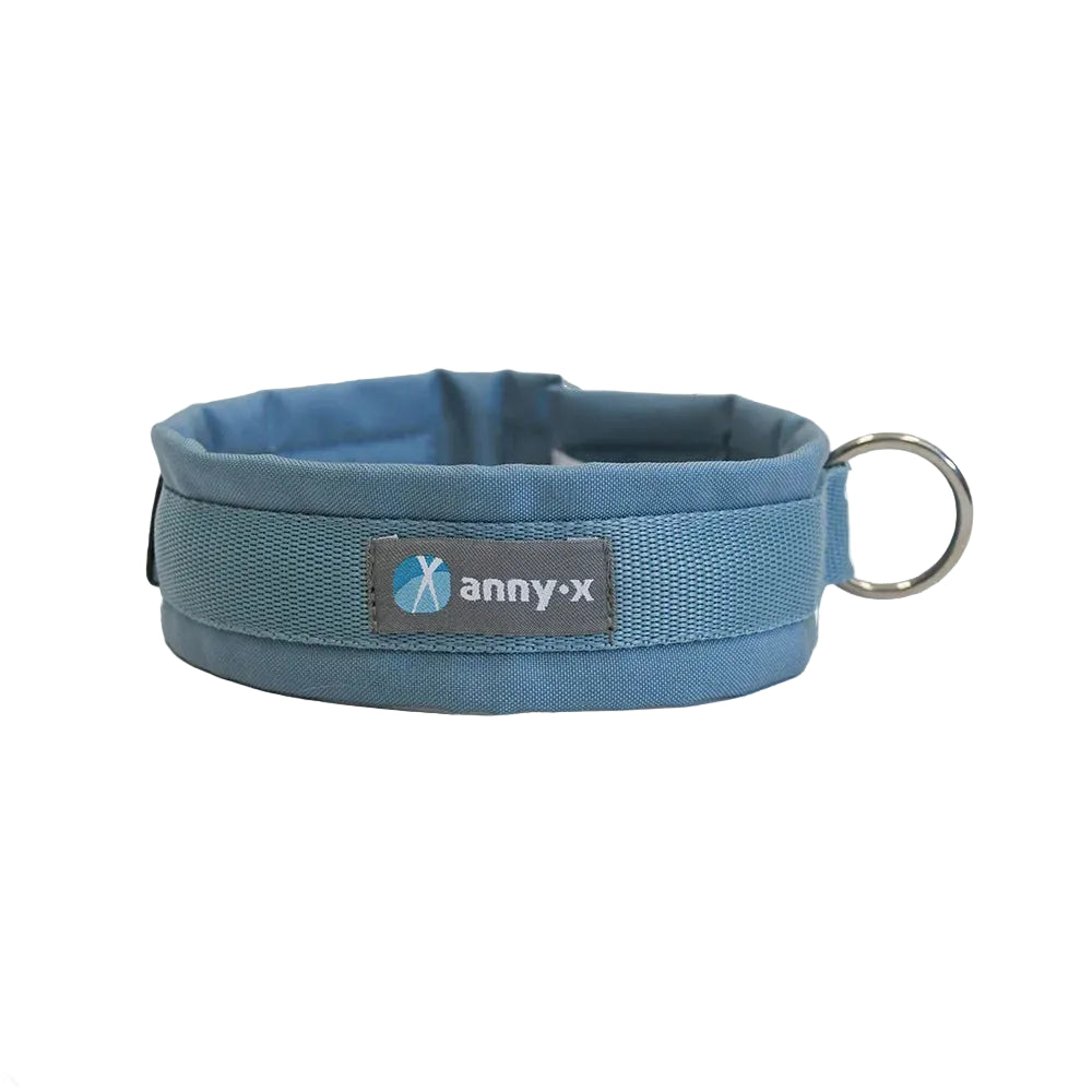 Anny-x Steckhalsband für Hunde