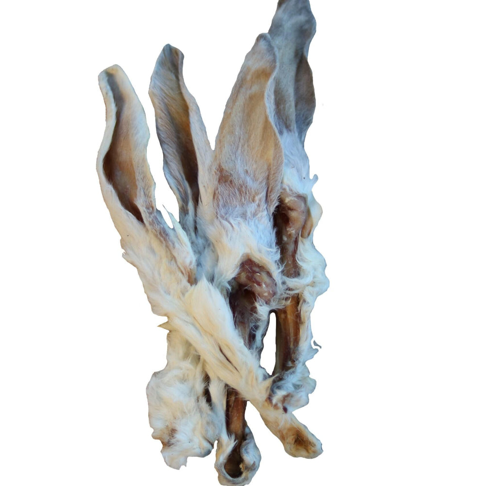 Kauartikel Kaninchen Ohren mit Fell fuer Hunde