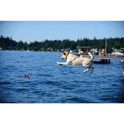 Chuckit Flying Squirrel für Hunde