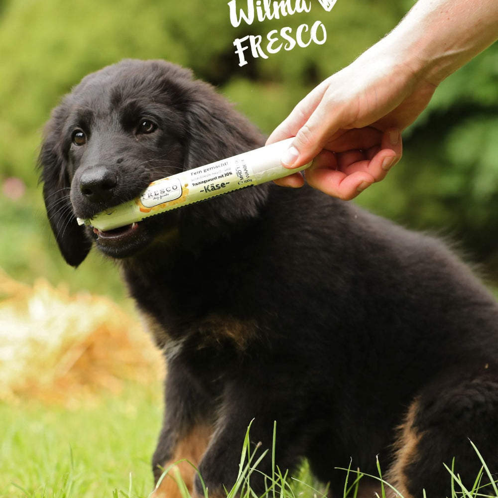 Fresco Traininwurst Käse für Hunde