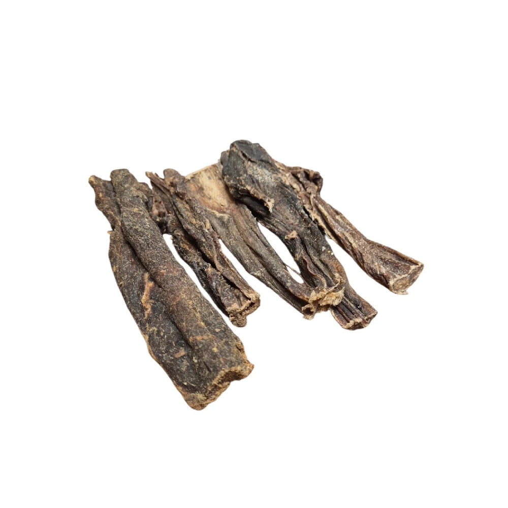 Kamelfleisch für Hunde