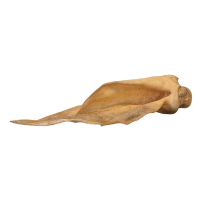 Pferdeohren für Hunde