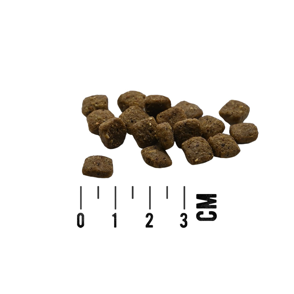 Mac´s Dog Mono Soft Mini für Hunde