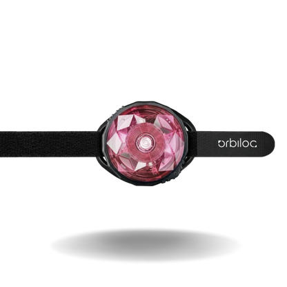 Orbiloc Mini für Hunde