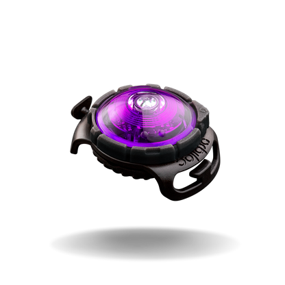 Orbloc Sicherheitsleuchte