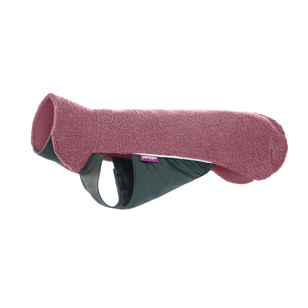 Polar Pomppa für Hunde