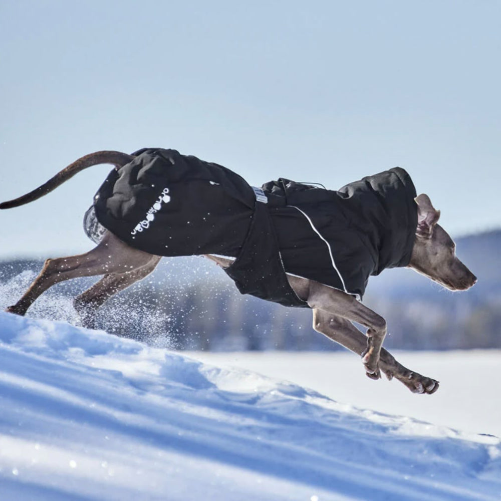 Hurtta Winterjacke für Hunde
