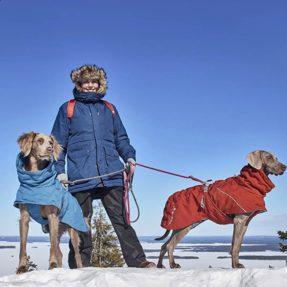 Hurtta Winterjacke für Hunde