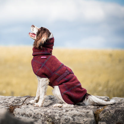 Woolie Pomppa für Hunde