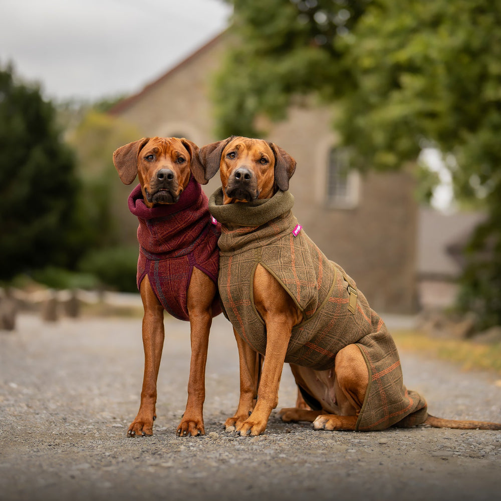 Woolie Pomppa für Hunde