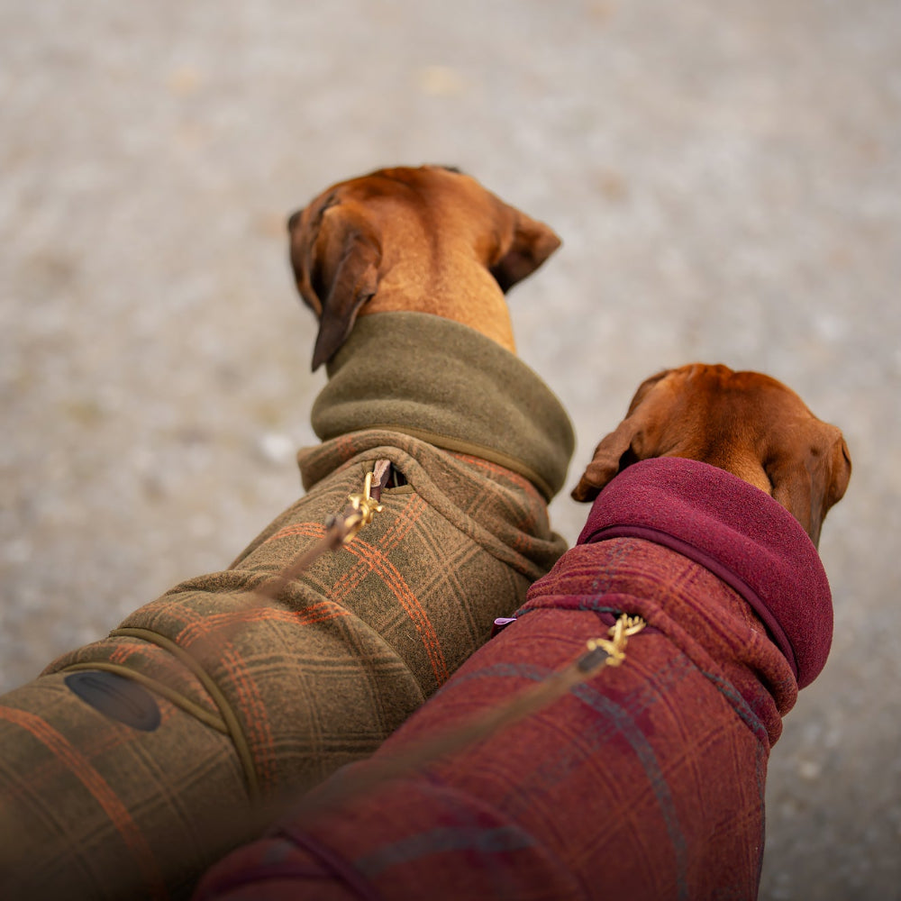 Woolie Pomppa für Hunde