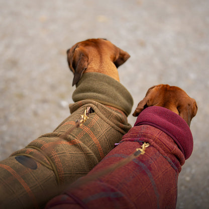 Woolie Pomppa für Hunde