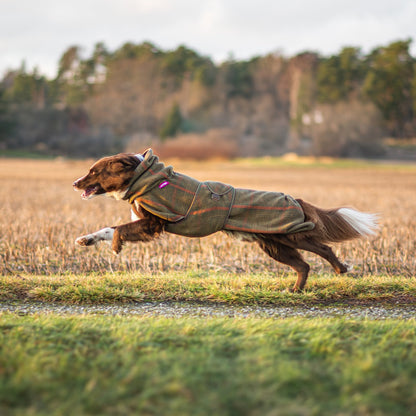 Woolie Pomppa für Hunde
