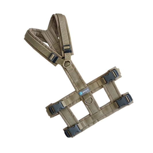 Anny-x Safety Geschirr