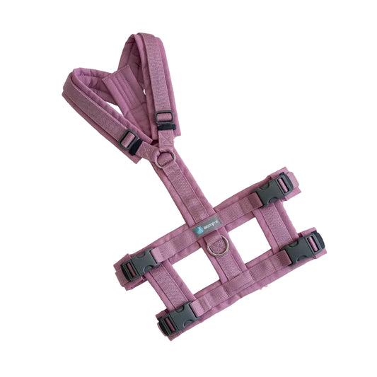 Anny-x safety für hunde