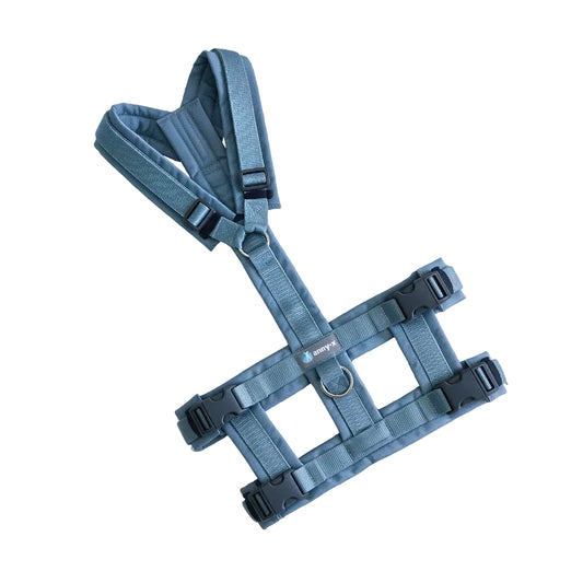 Anny-x Safety für Hunde