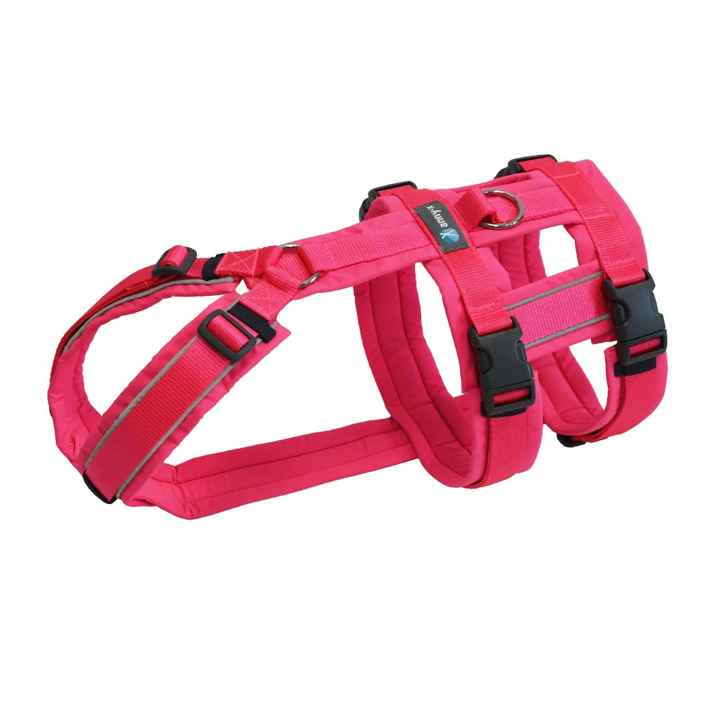 Anny-x Safety Fun für Hunde