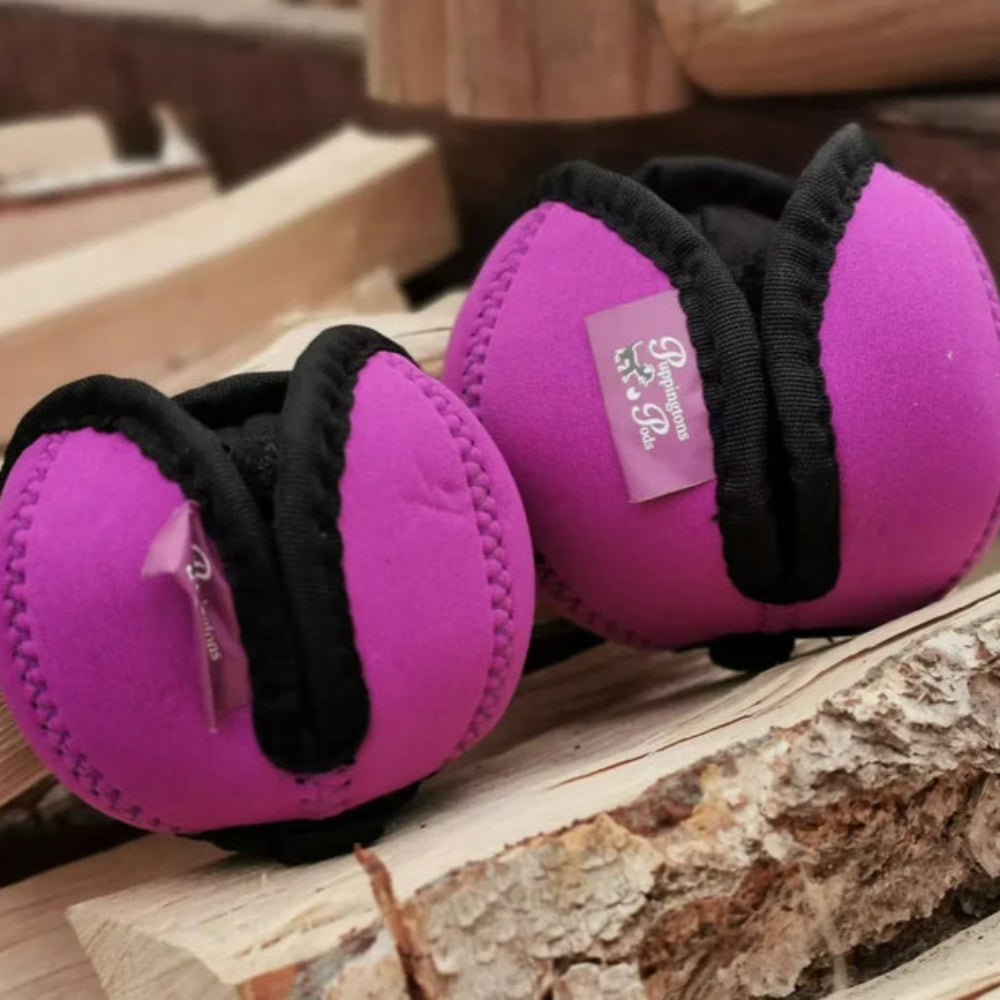 Puppingtons Pods für Hunde
