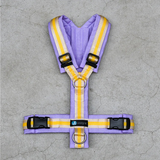 Anny-x Limited Edition für Hunde