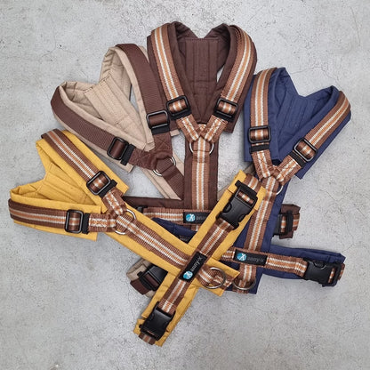 Anny-X Limited Edition für Hunde