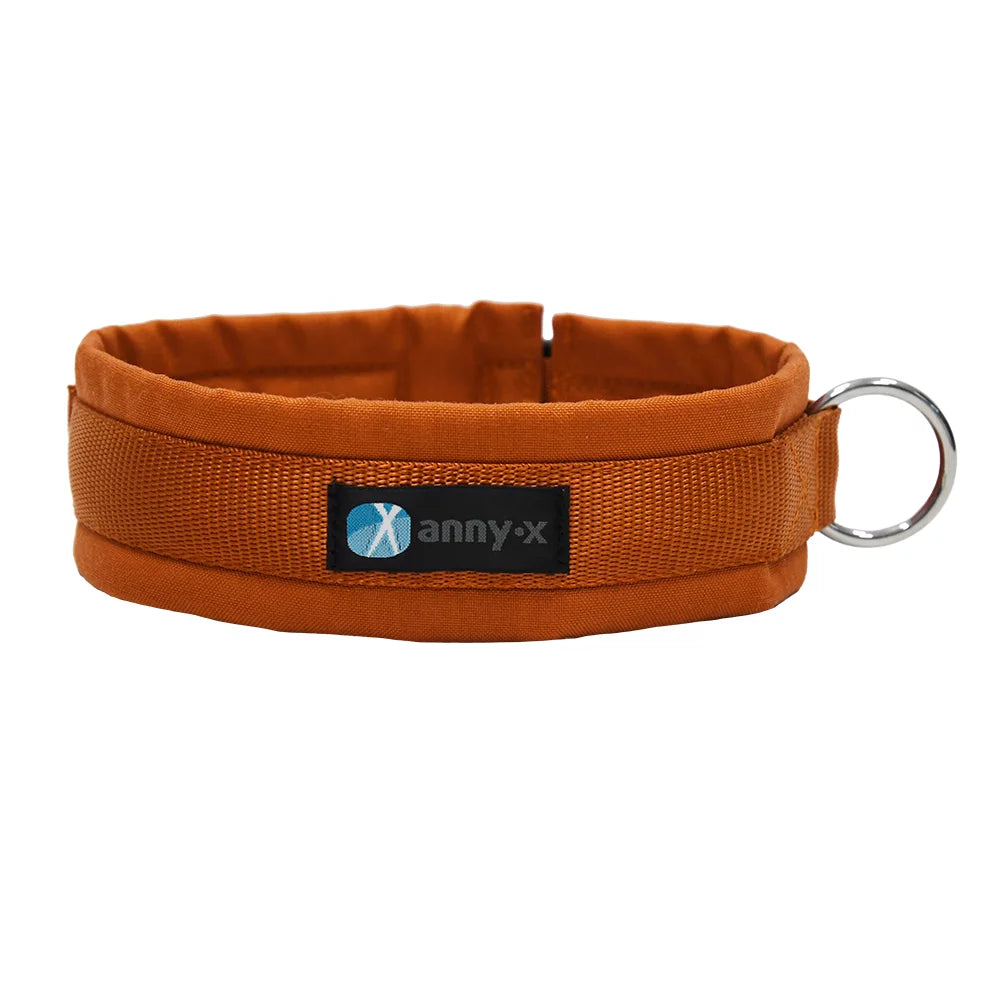 Anny-x Steckhalsband fr Hunde