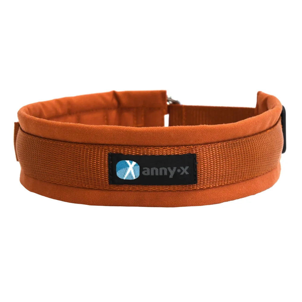 Anny-x Zugstopphalsband für Hunde